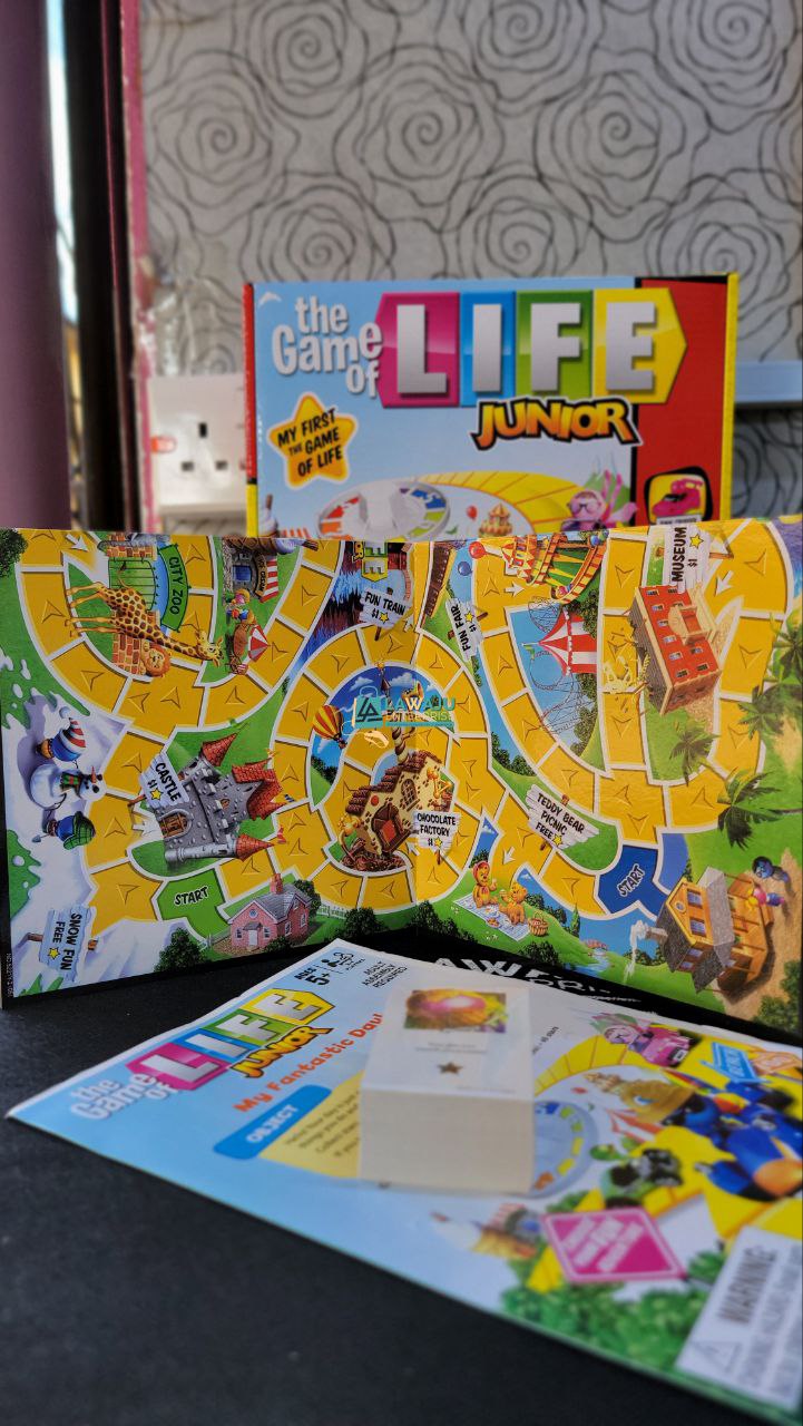 The Game of Life Junior