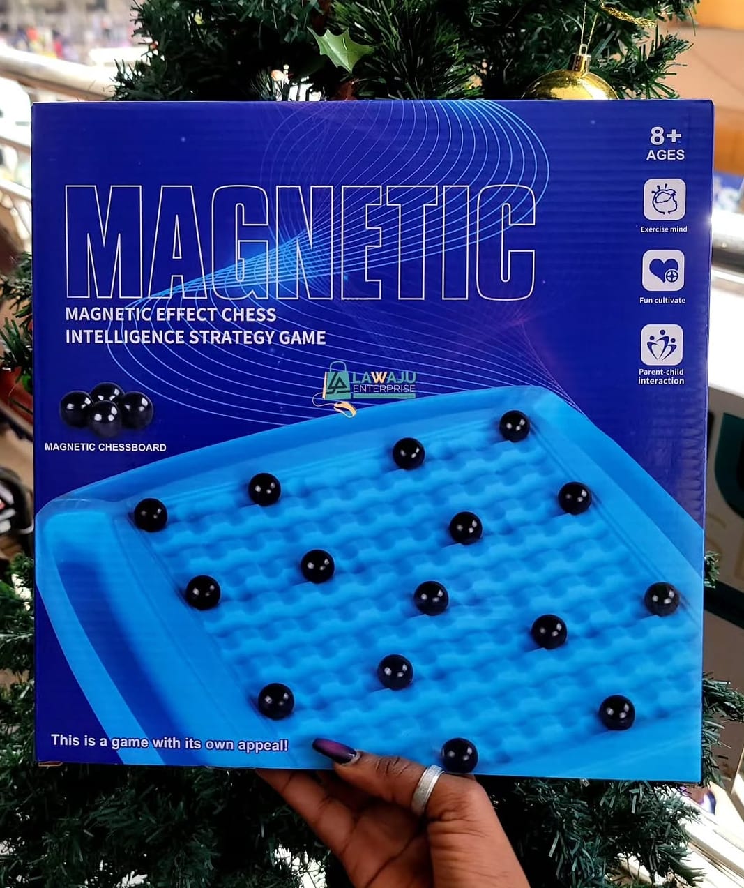 Magnetic Chess